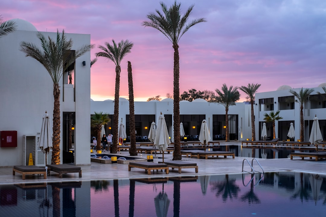 a-large-swimming-pool-surrounded-by-palm-trees-pphgehz1uk